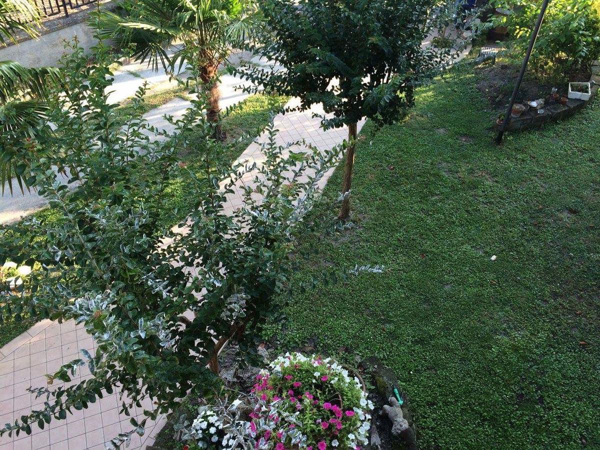 B&B Dai Nonni Comacchio Dış mekan fotoğraf